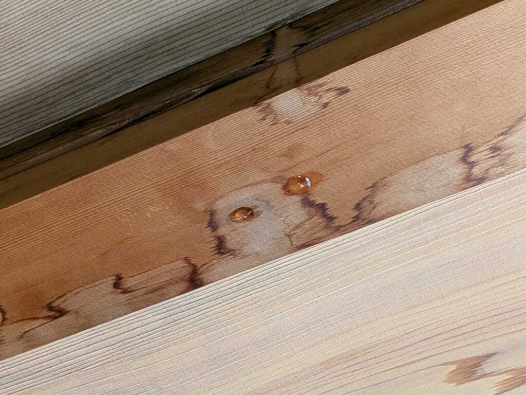 バルコニーからの雨漏り調査事例